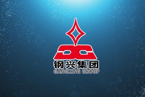 龙珠体育·(中国)官方网站宣传视频